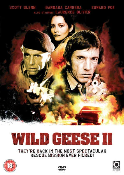 Wild Geese 2 Afbeelding 1