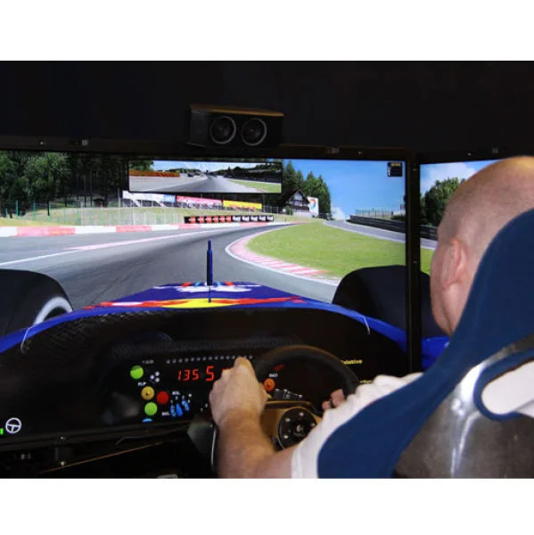 Driving Race Simulator Experience for One Afbeelding 1
