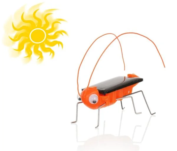 Solar Grasshoppers Afbeelding 1