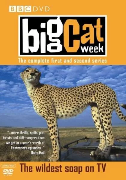 Big Cat Week - Seizoen 1 en 2 Afbeelding 1