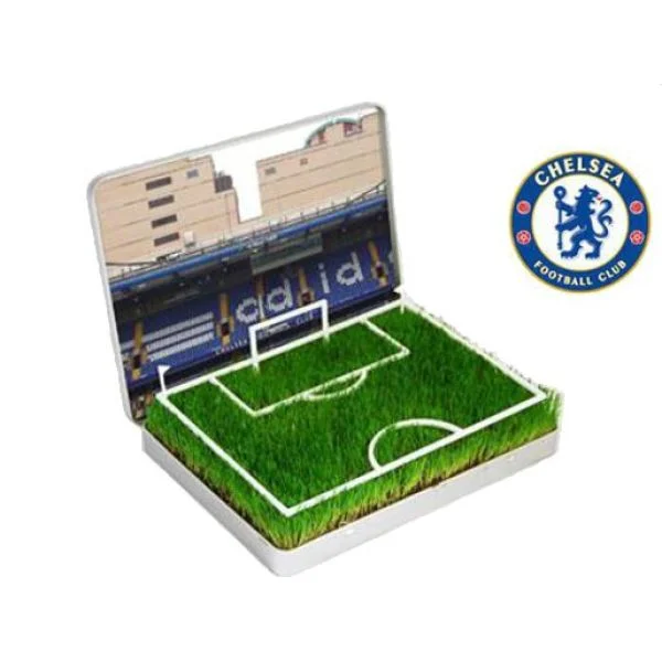 Grow Your Own Chelsea Mini Pitch Afbeelding 1