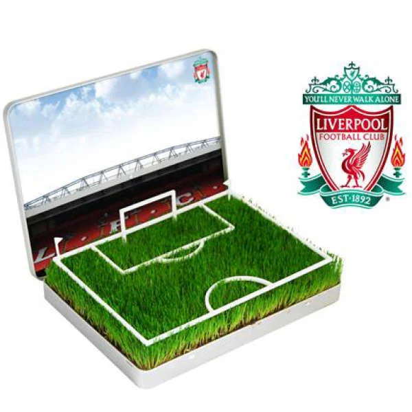 Grow Your Own Liverpool Mini Pitch Afbeelding 1