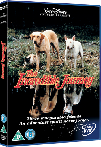 The Incredible Journey