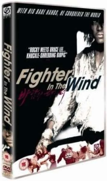 Fighter In Wind Afbeelding 1