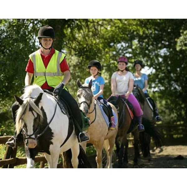 Introduction to Horse Riding for One Afbeelding 1
