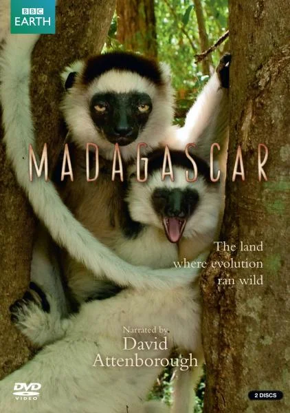 Madagascar Afbeelding 1