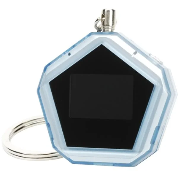Compositor 1 Inch Digital Photoframe Keyring Afbeelding 1