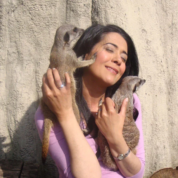 Meet the Meerkats Experience Afbeelding 1