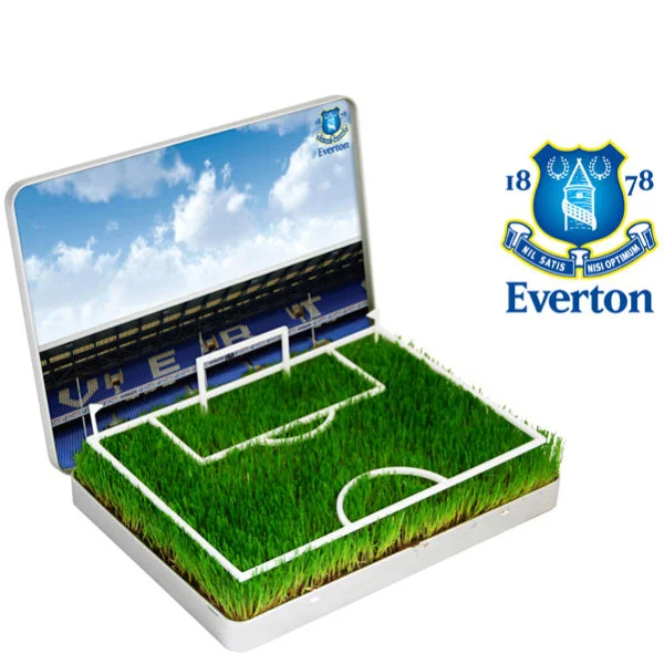 Grow Your Own Everton Mini Pitch Afbeelding 1