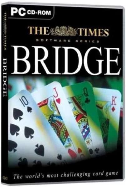 Times Bridge Afbeelding 1