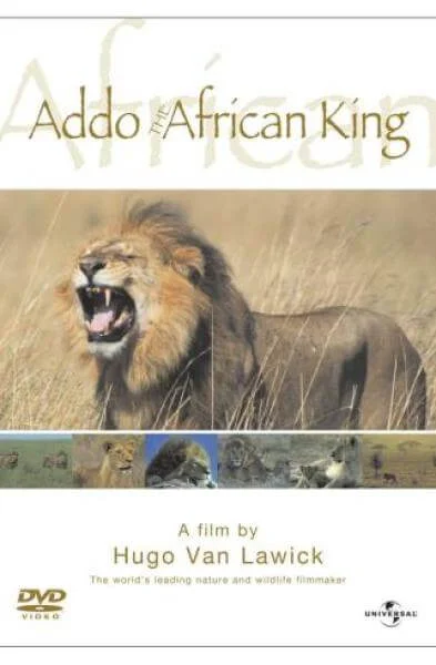 Addo: African King Afbeelding 1