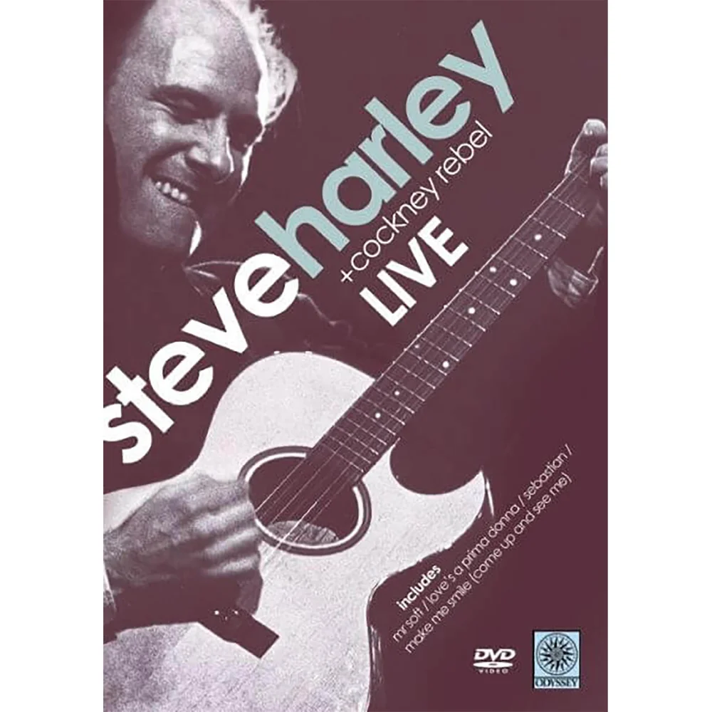 Steve Harley in Concert Afbeelding 1