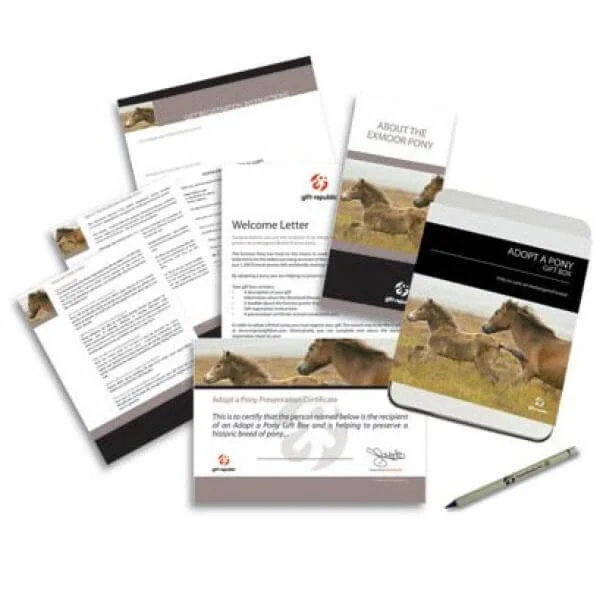 Adopt a Pony Gift Box Afbeelding 1