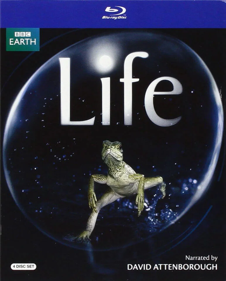 Life Afbeelding 1