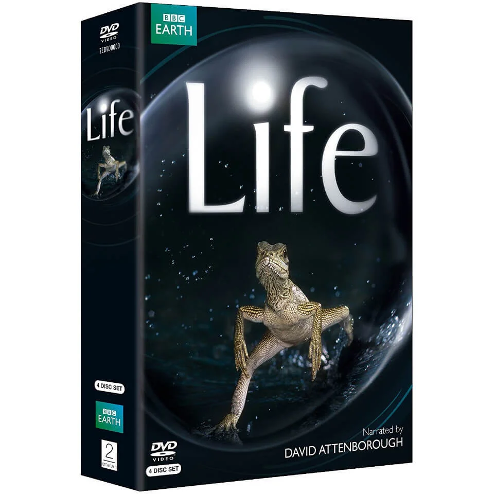 Life Afbeelding 1