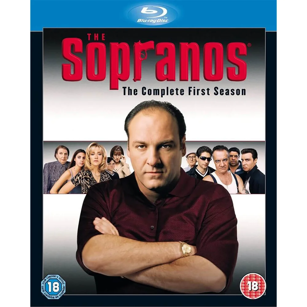 The Sopranos - Seizoen 1 Afbeelding 1