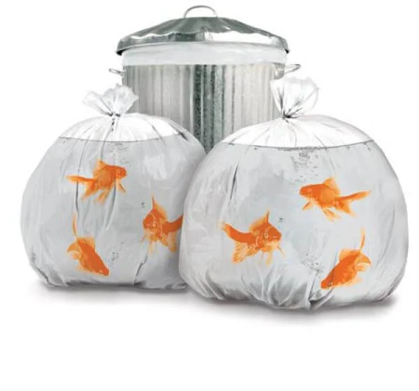 Goldfish Bin Bags Afbeelding 1