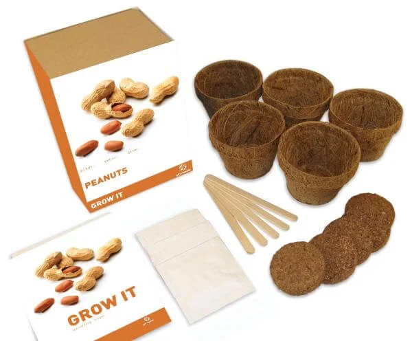 Grow It Peanuts Gift Box Afbeelding 1