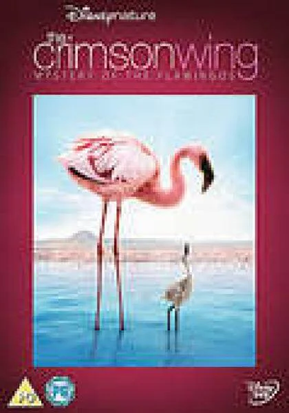 Crimson Wing - Mystery Of Flamingos Afbeelding 1