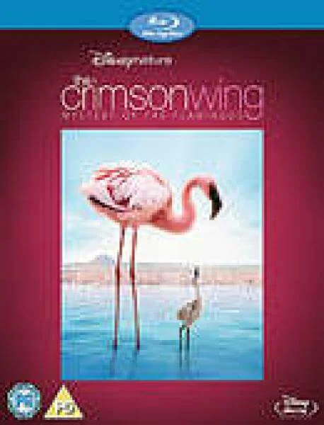 Crimson Wing - Mystery Of Flamingos Afbeelding 1