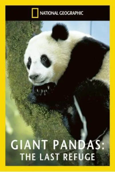National Geographic: Giant Pandas The Last Refuge Afbeelding 1