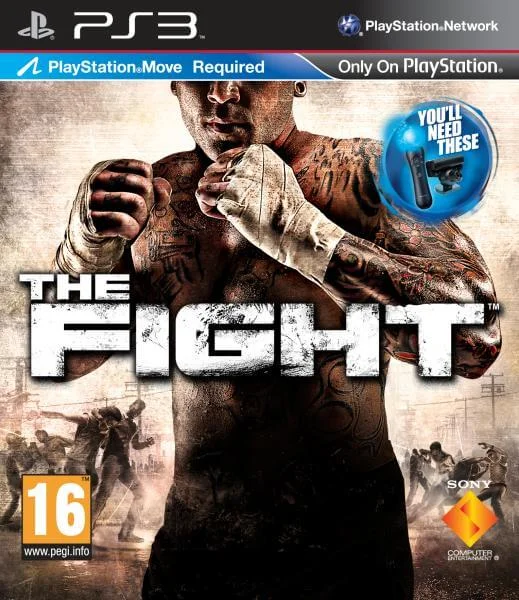 The Fight (Playstation Move) Afbeelding 1