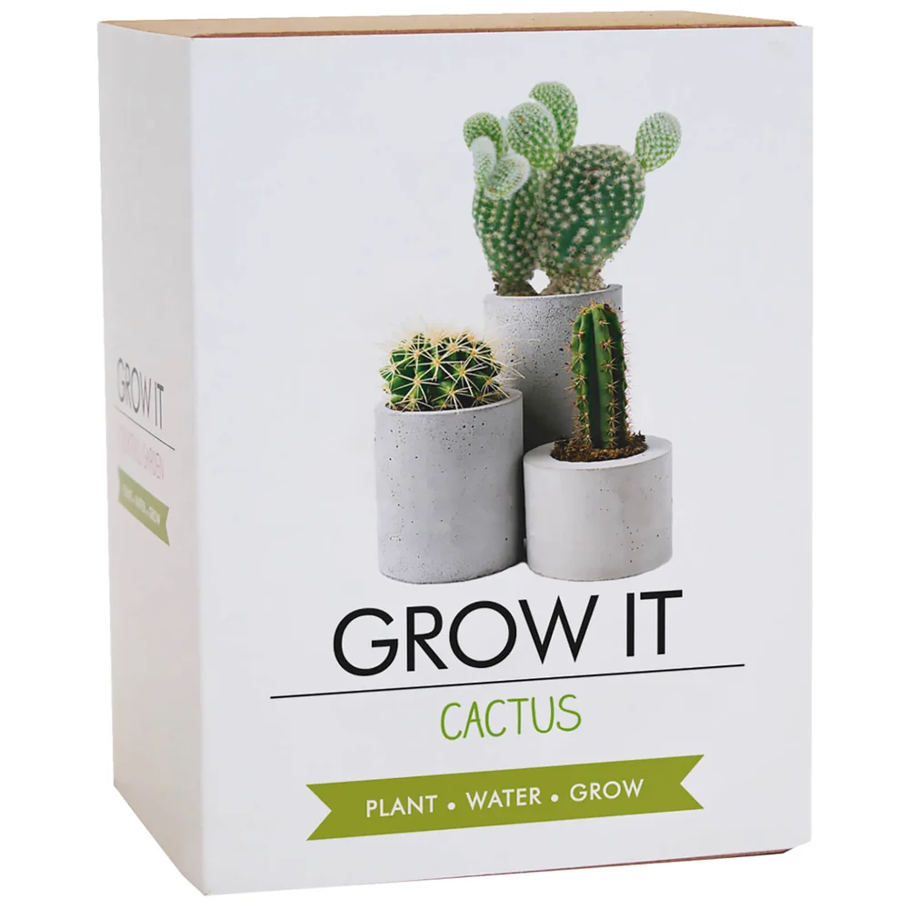 Grow It Cactus-plant Afbeelding 1