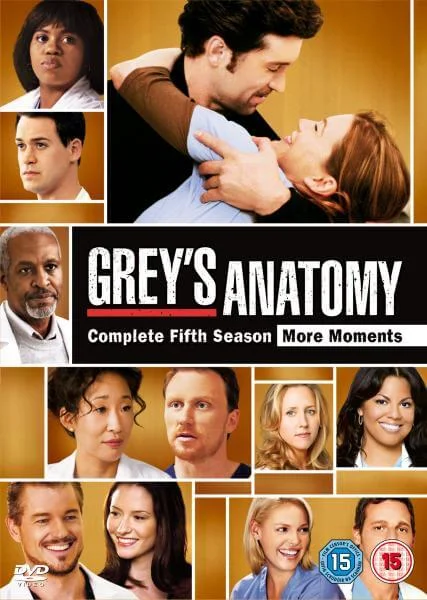Greys Anatomy - Seizoen 5 Afbeelding 1