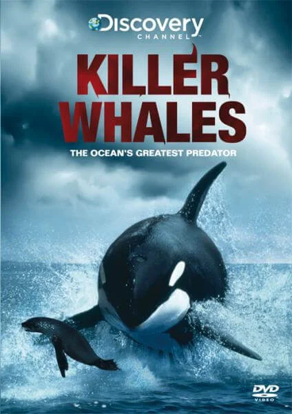 Killer Whales Afbeelding 1