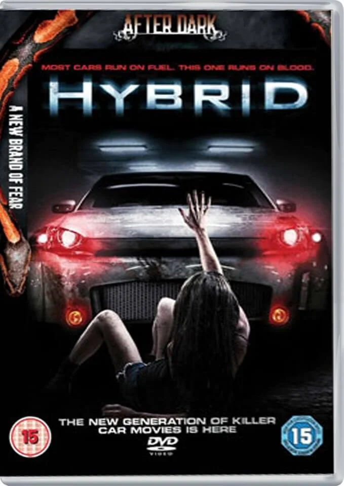 Hybrid 2D Afbeelding 1