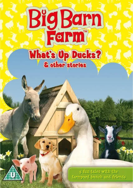 Big Barn Farm: What's Up Ducks? Afbeelding 1