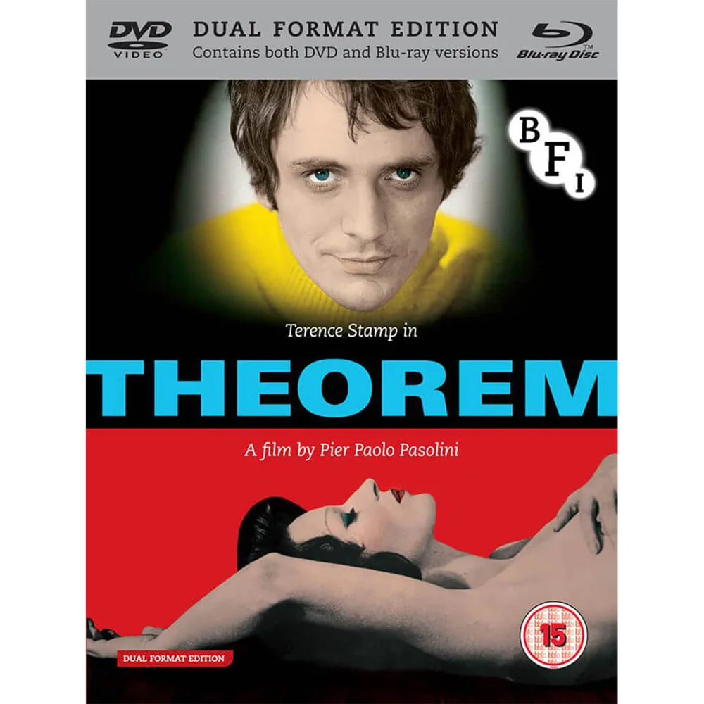 Theorem (Dual Format Editie) Afbeelding 1