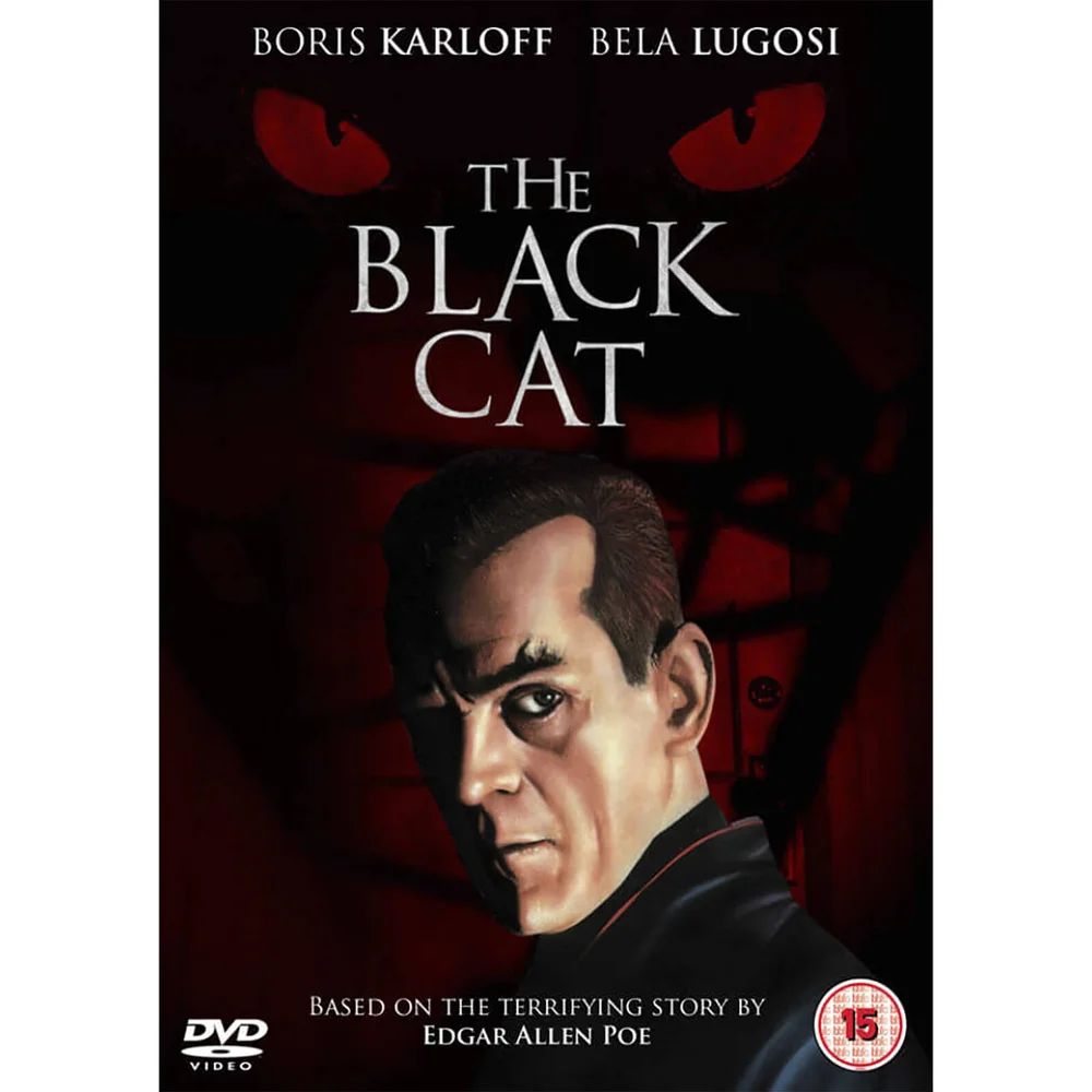 The Black Cat Afbeelding 1