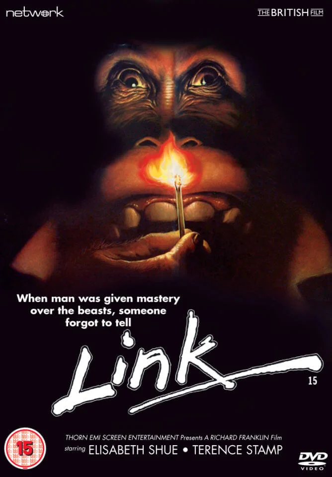 Link Afbeelding 1