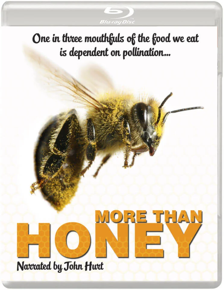 More Than Honey Afbeelding 1