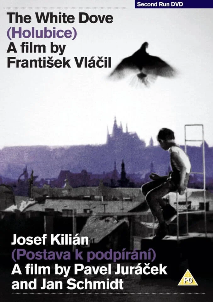The White Dove / Josef Kilian Afbeelding 1