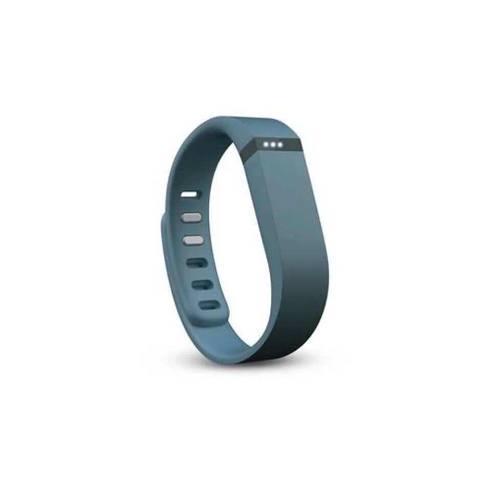Fitbit Flex - Slate Afbeelding 1