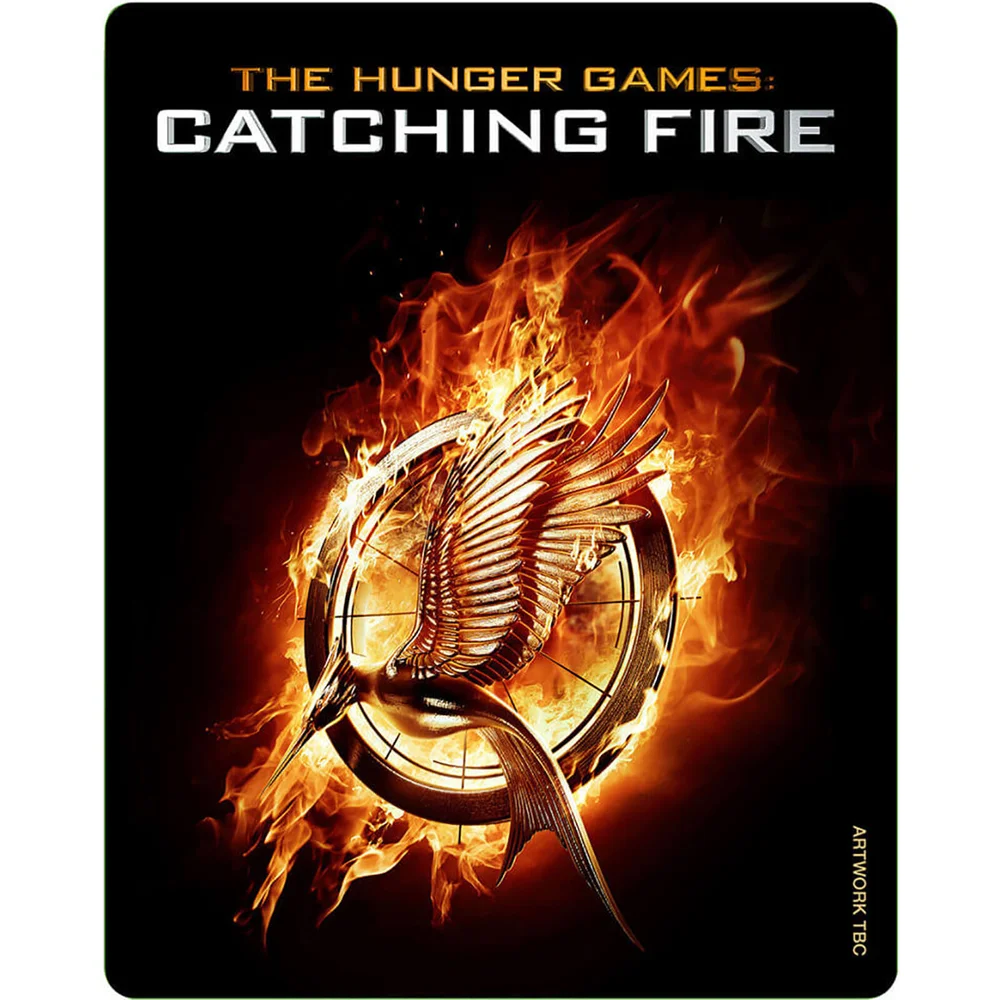 The Hunger Games: Catching Fire - Steelbook Editie (Bevat DVD en UltraViolet Copy) Afbeelding 1