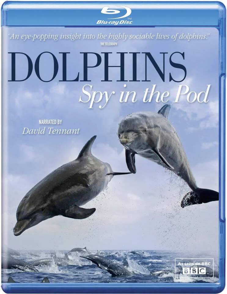 Dolphins Spy in the Pod Afbeelding 1
