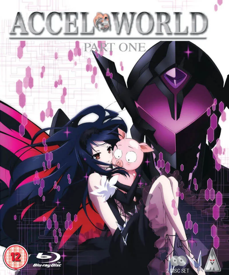 Accel World - Deel 1 Afbeelding 1