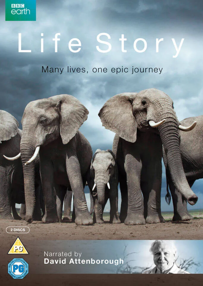 Life Story Afbeelding 1
