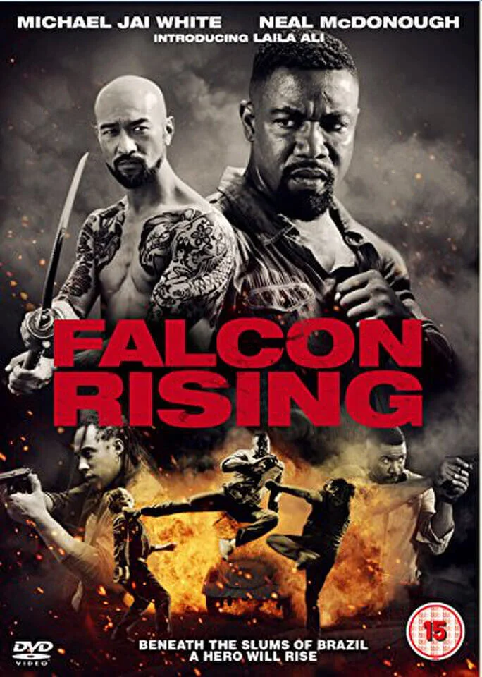 Falcon Rising Afbeelding 1