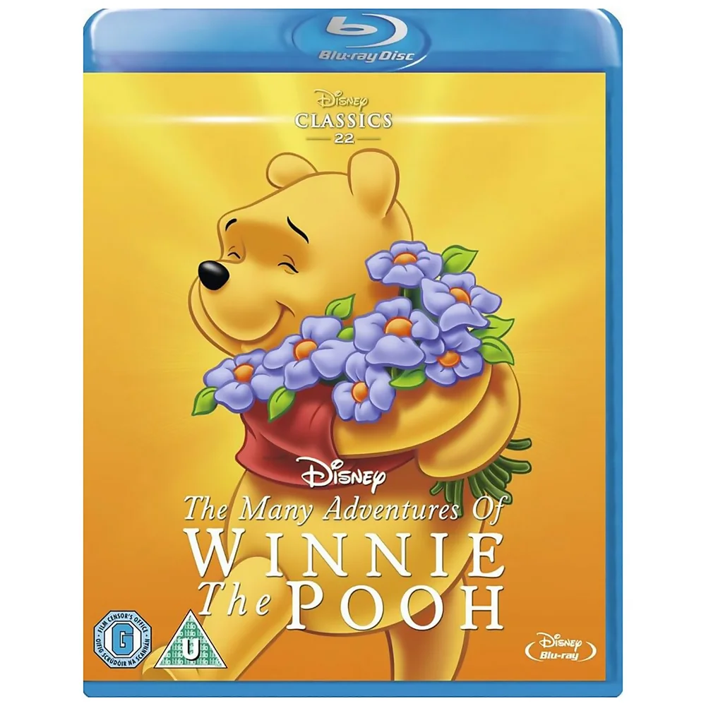 Many Adventures of Winnie the Pooh Afbeelding 1