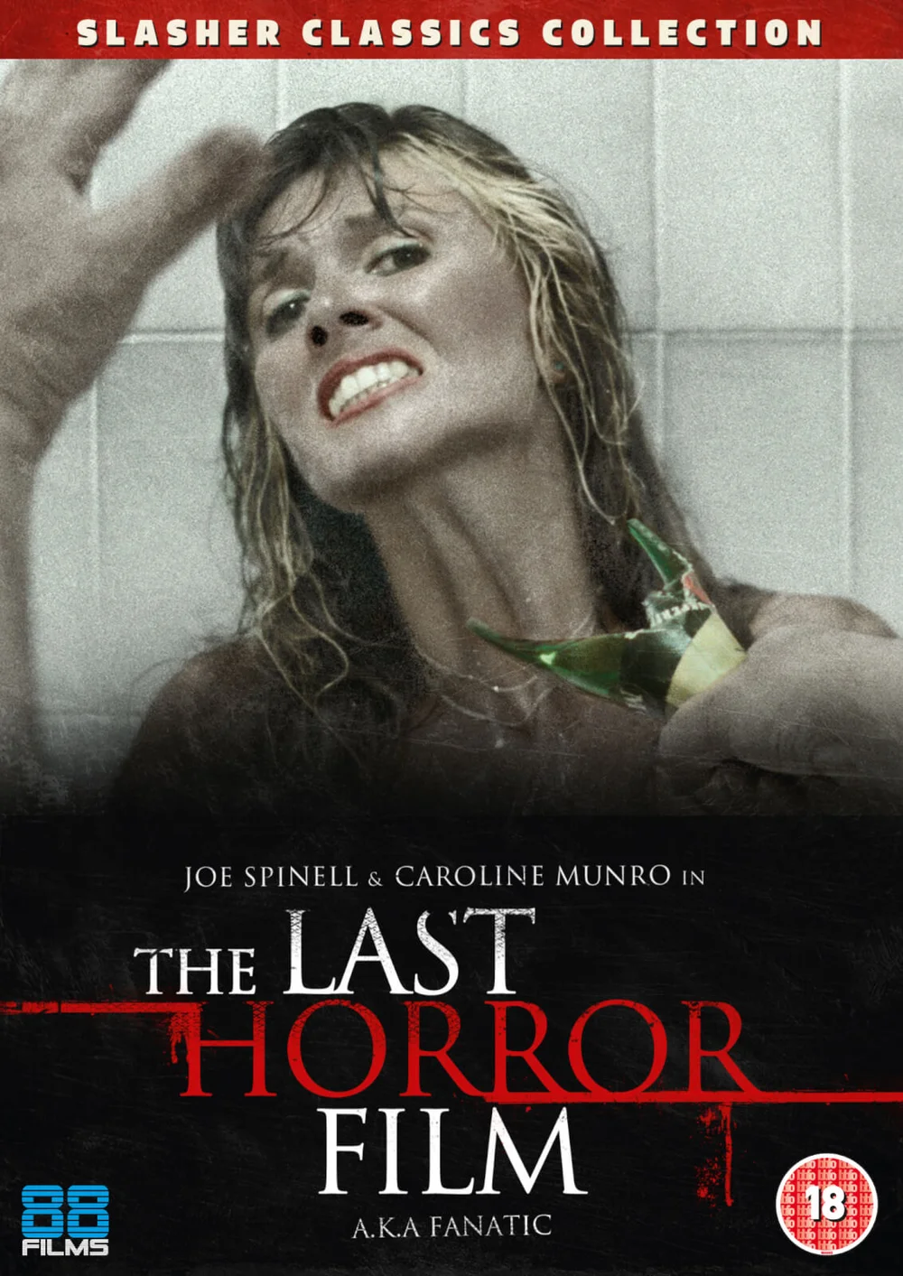 The Last Horror Film Afbeelding 1