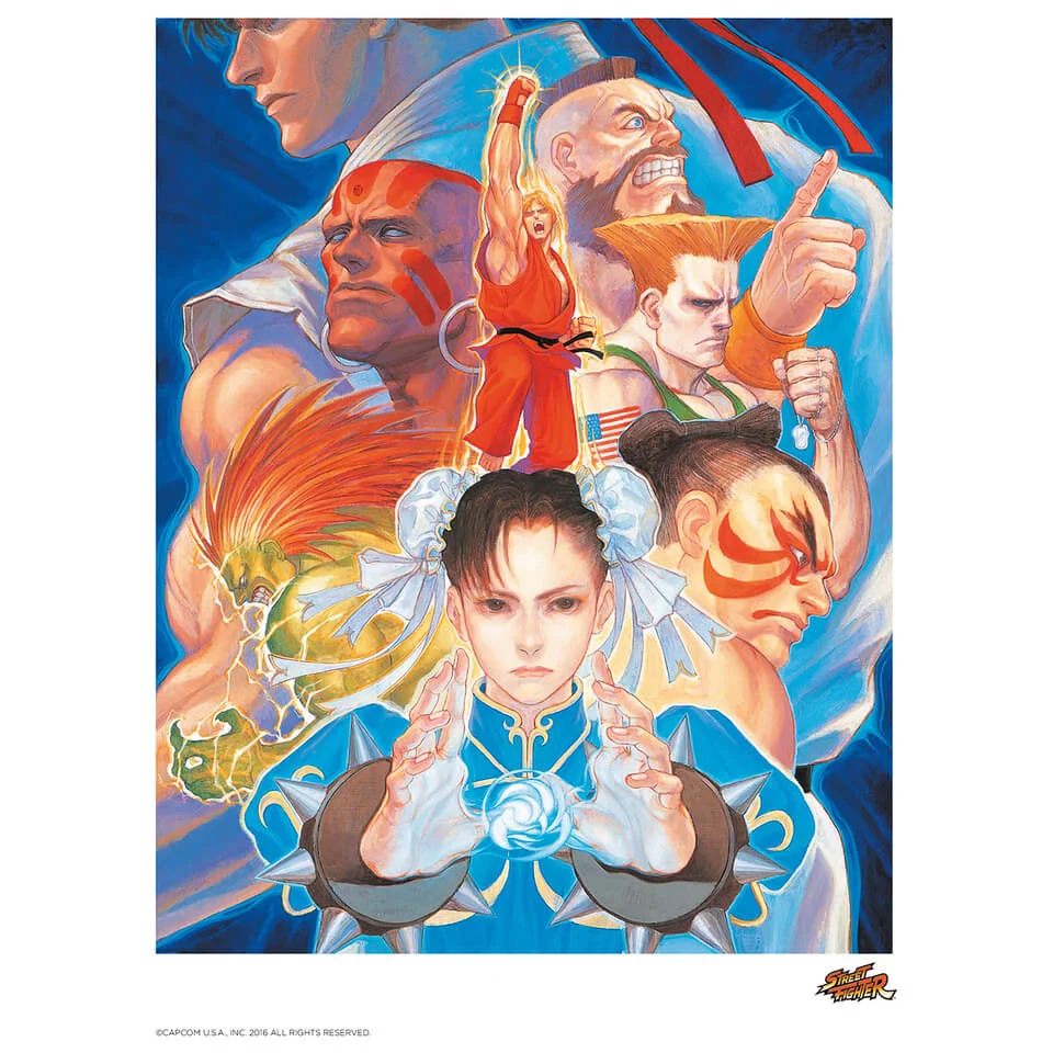 Street Fighter 'That's Good Kung-Fu!' Art Print 14 x 11" Afbeelding 1