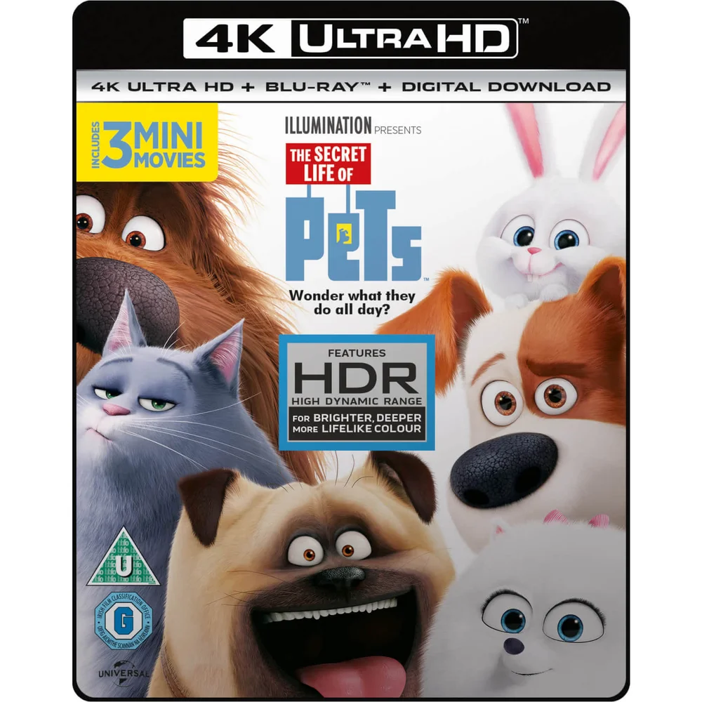 The Secret Life Of Pets - 4K Ultra HD Afbeelding 1