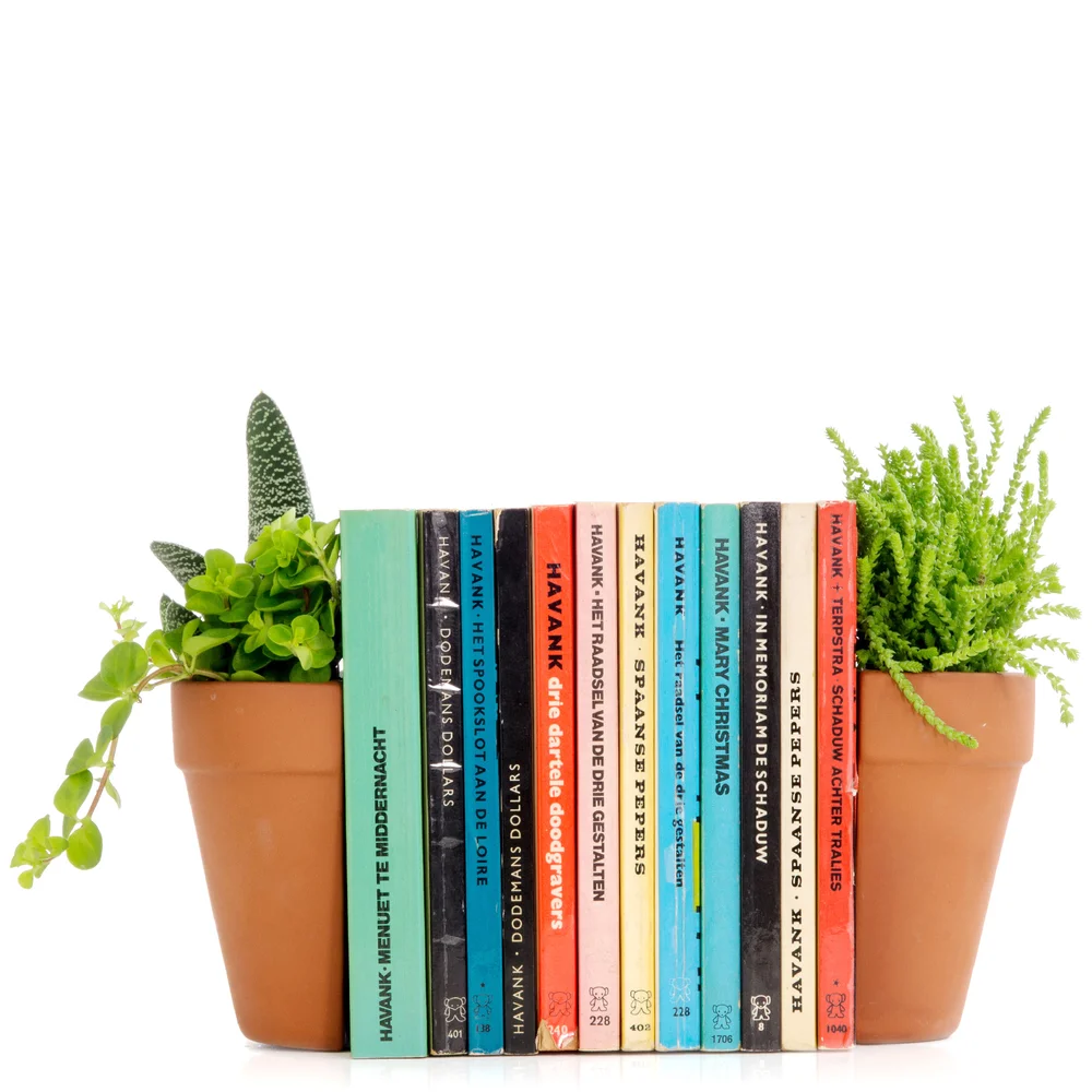 PLANT POT BOOKENDS Afbeelding 1
