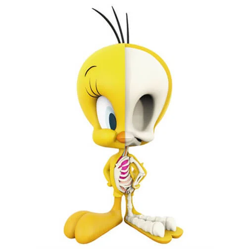 Looney Tunes Tweety XXRAY Figure Afbeelding 1