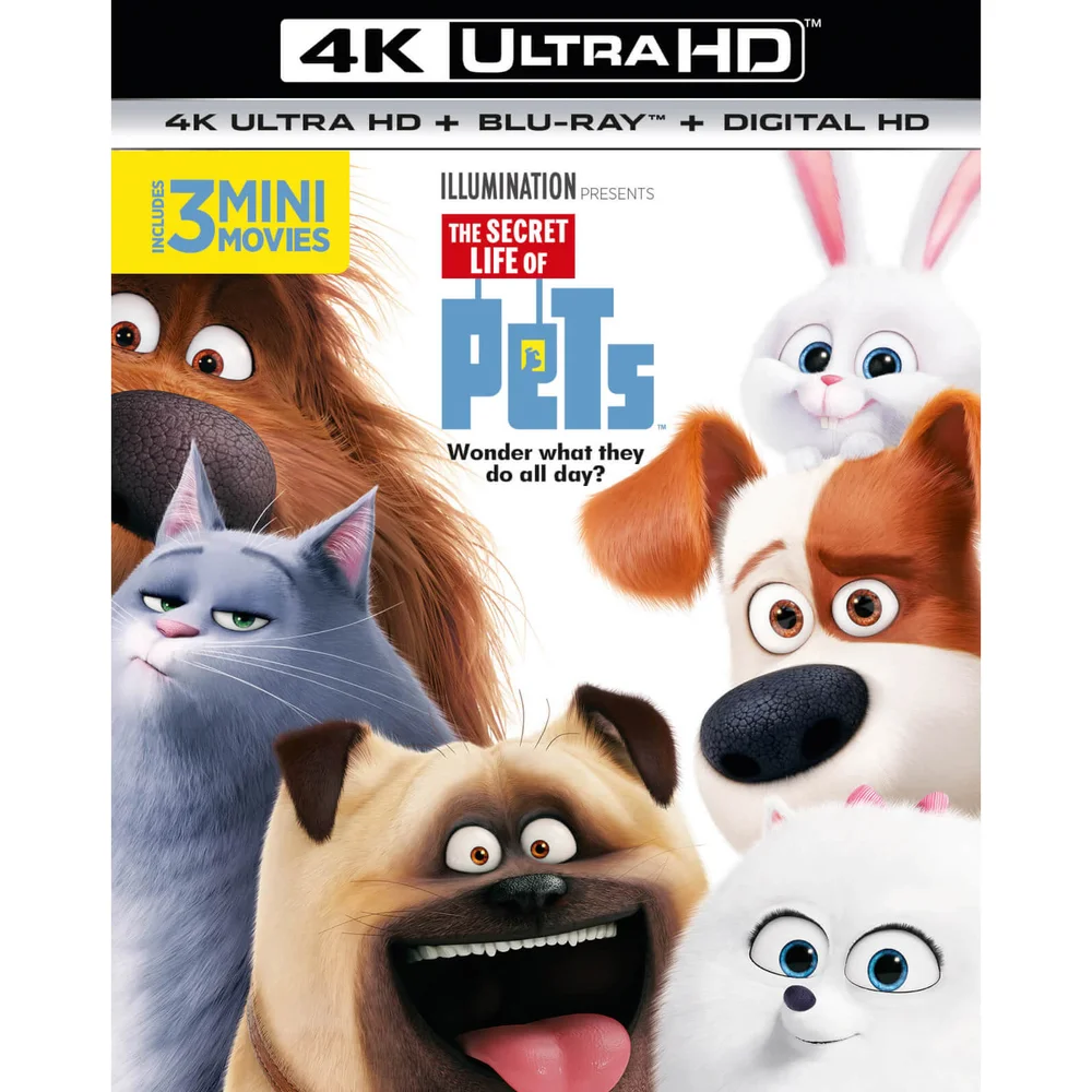 The Secret Life Of Pets - 4K Ultra HD Afbeelding 1
