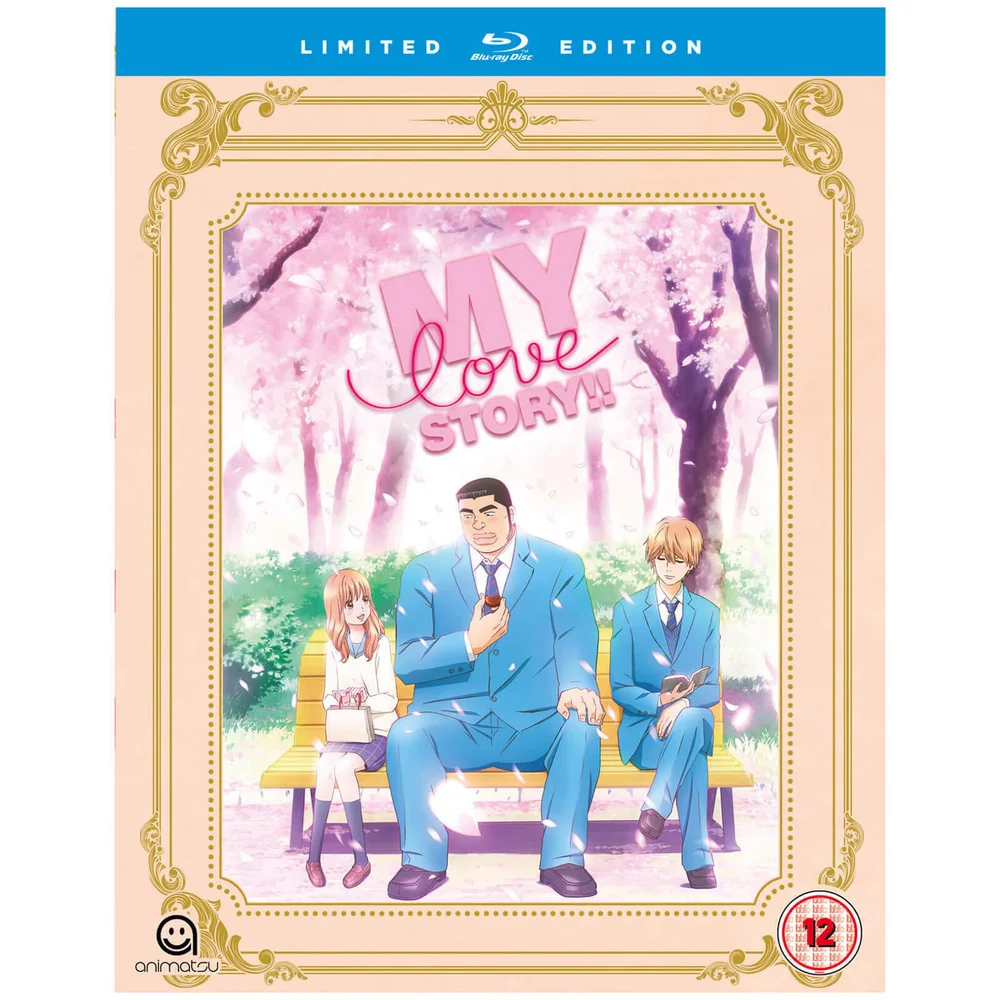 My Love Story (Ore Monogatari) Complete collectie - Collectors Editie Afbeelding 1